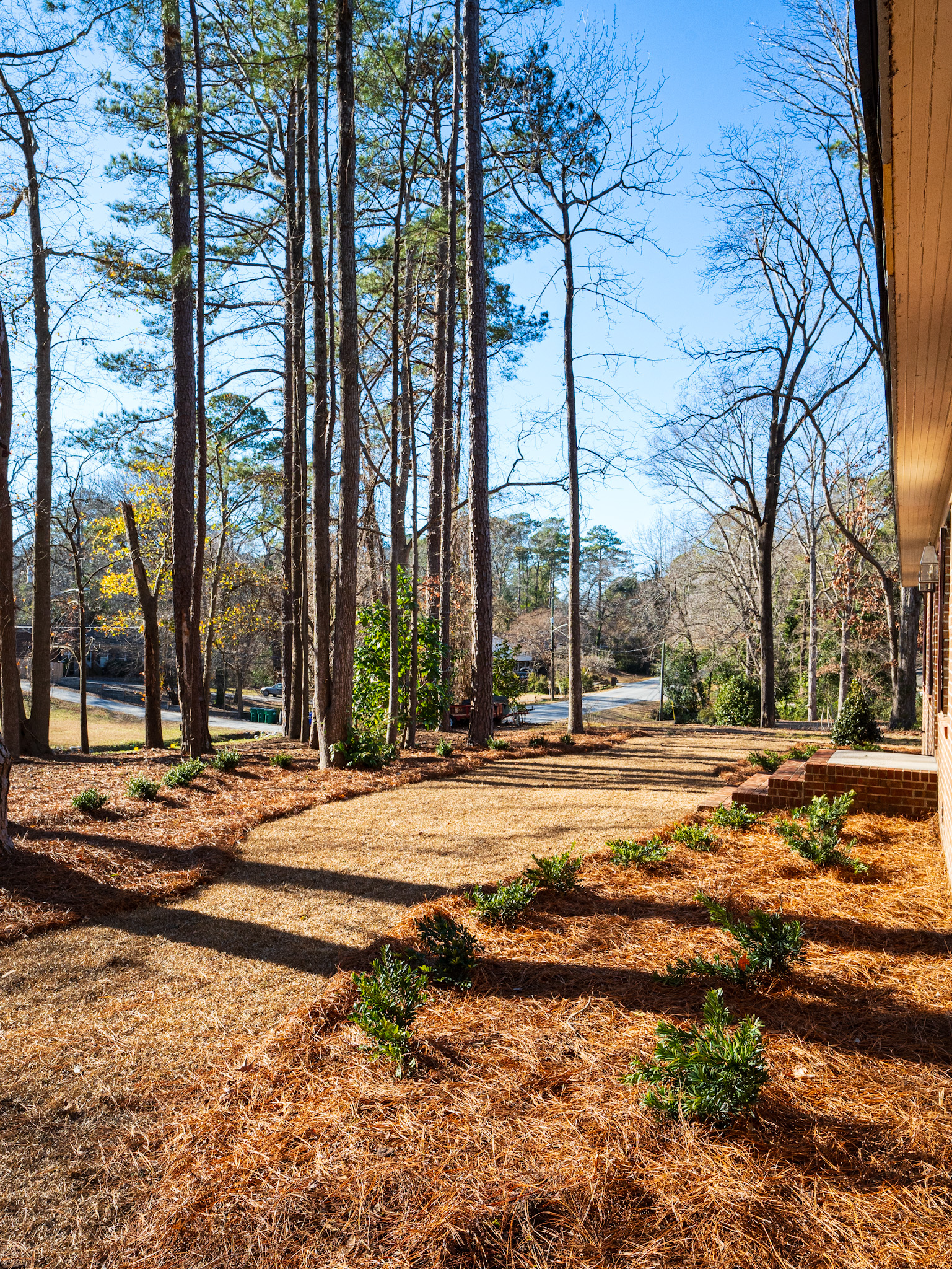 Front elevation with composed foundation planting.