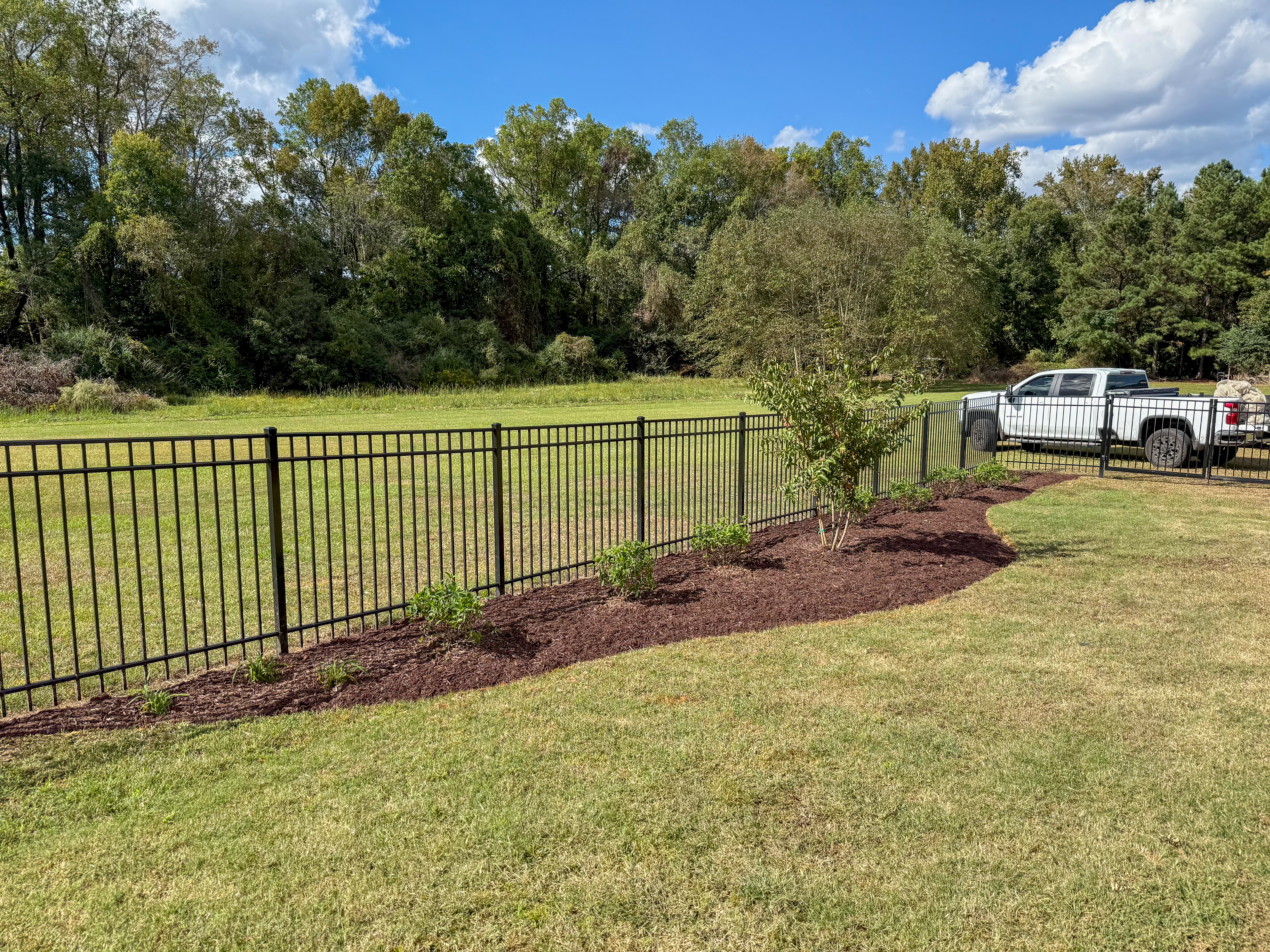 Iron fence with mulch bed in a rear yard.