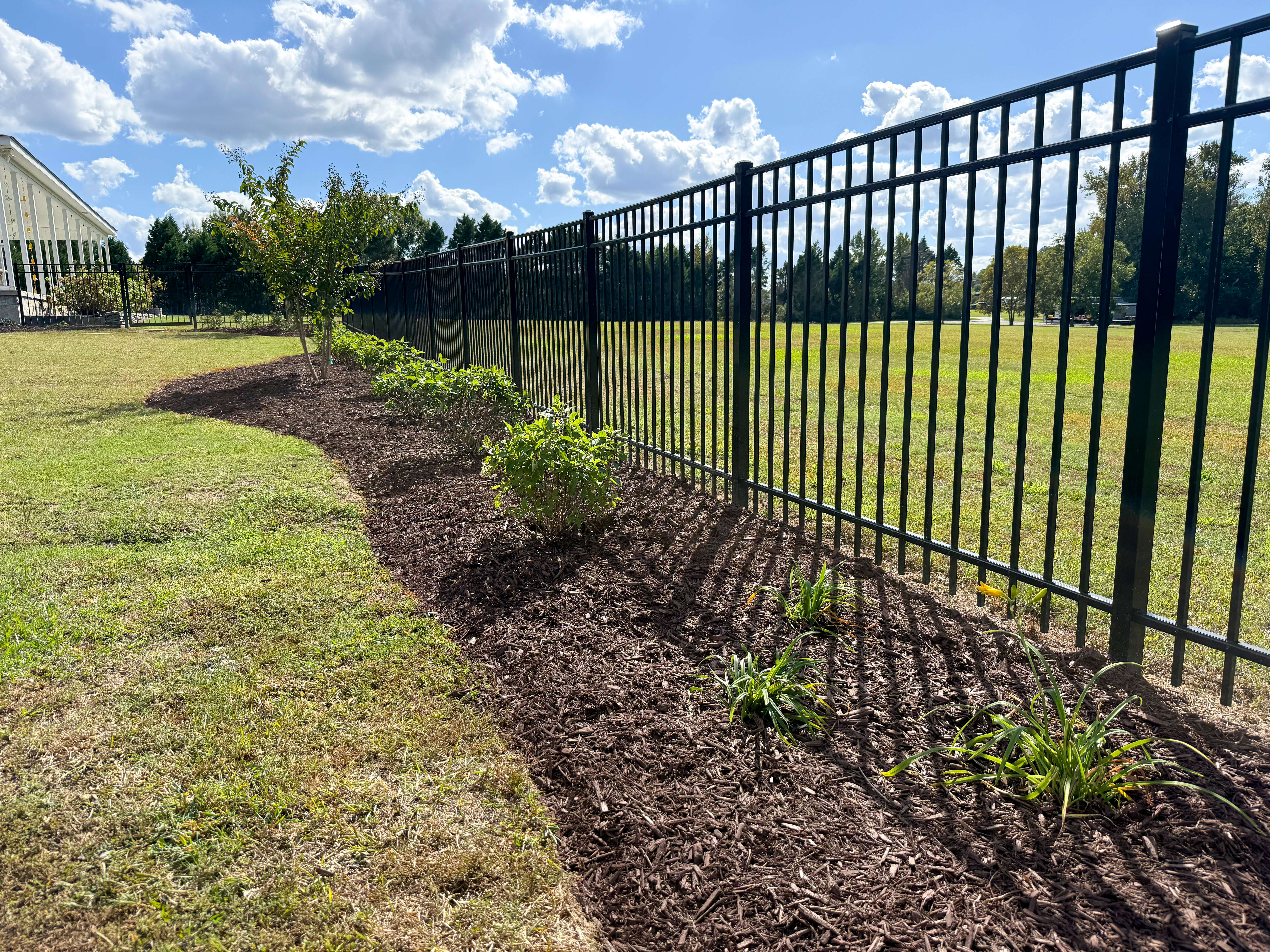 Iron fence with curved shrub bed.
