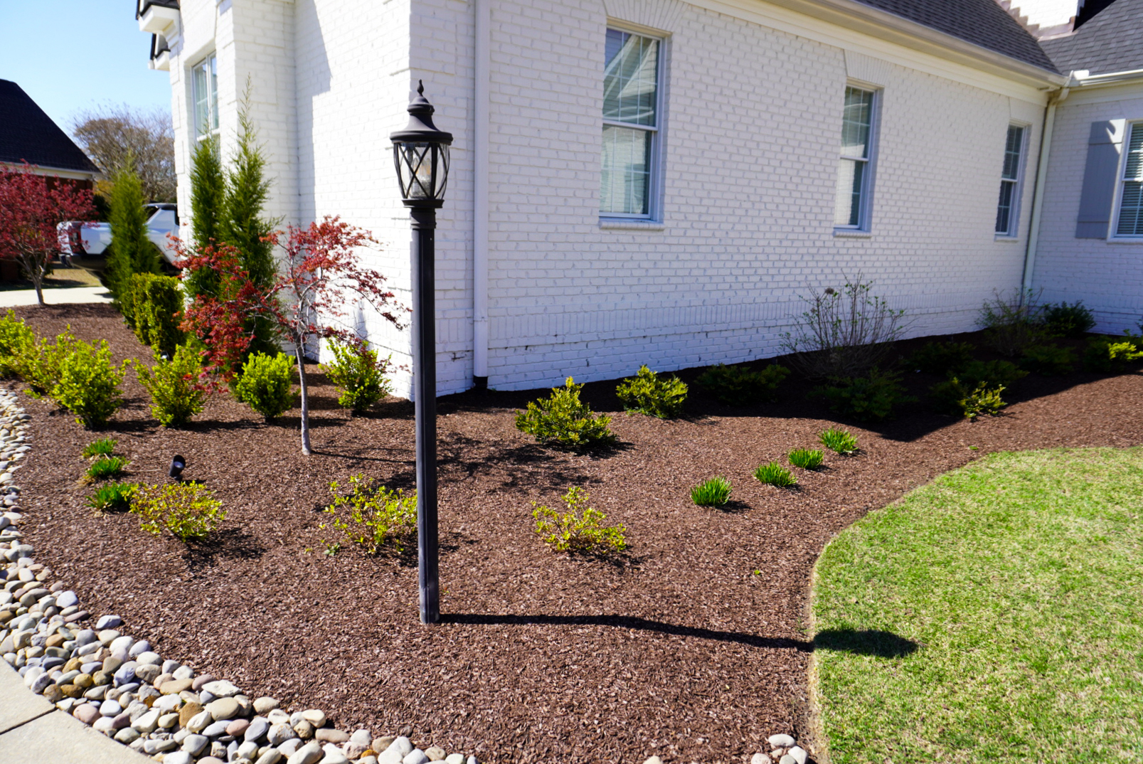 Front corner bed with lantern and Japanese maple.