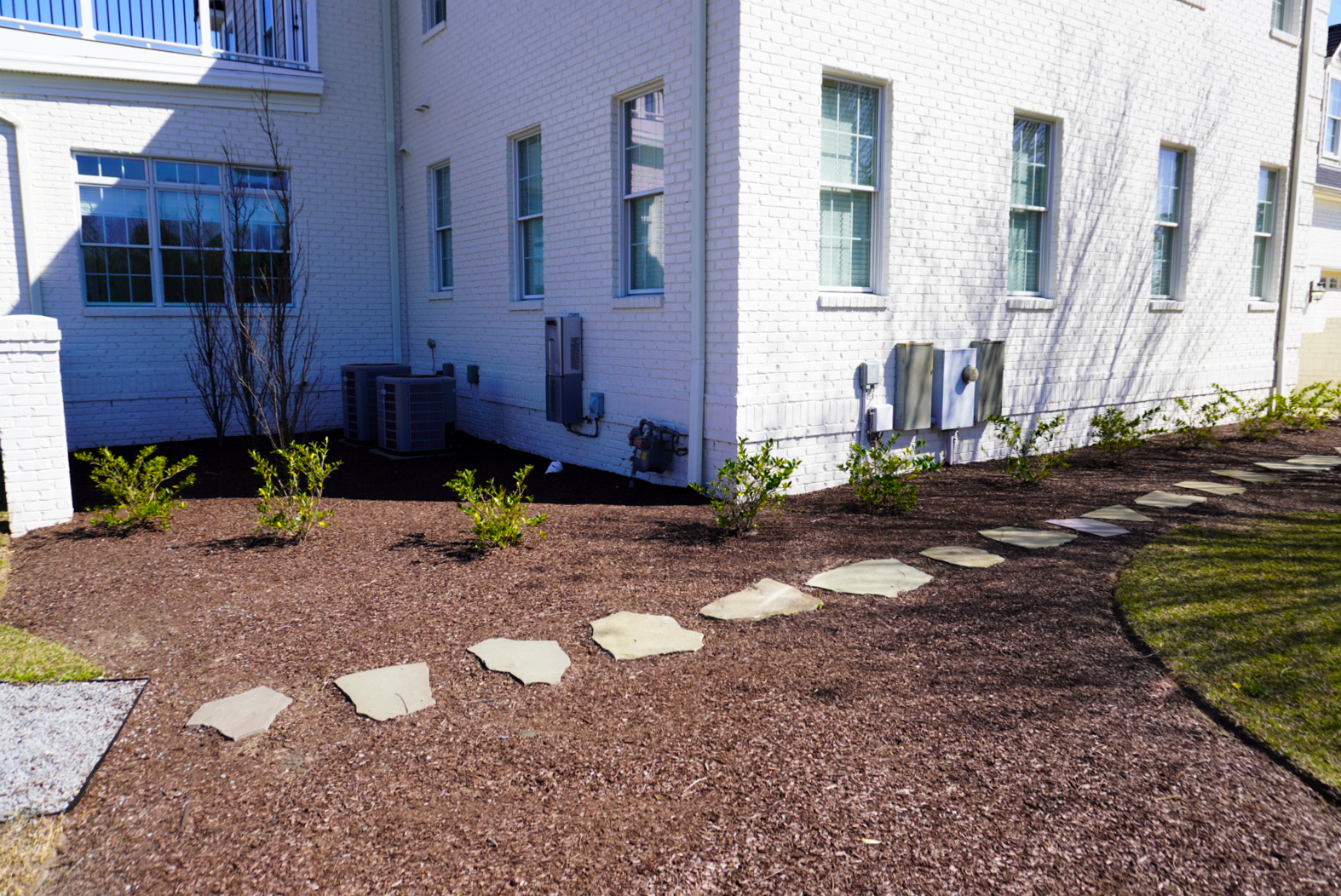 Front foundation with topiary shrubs.
