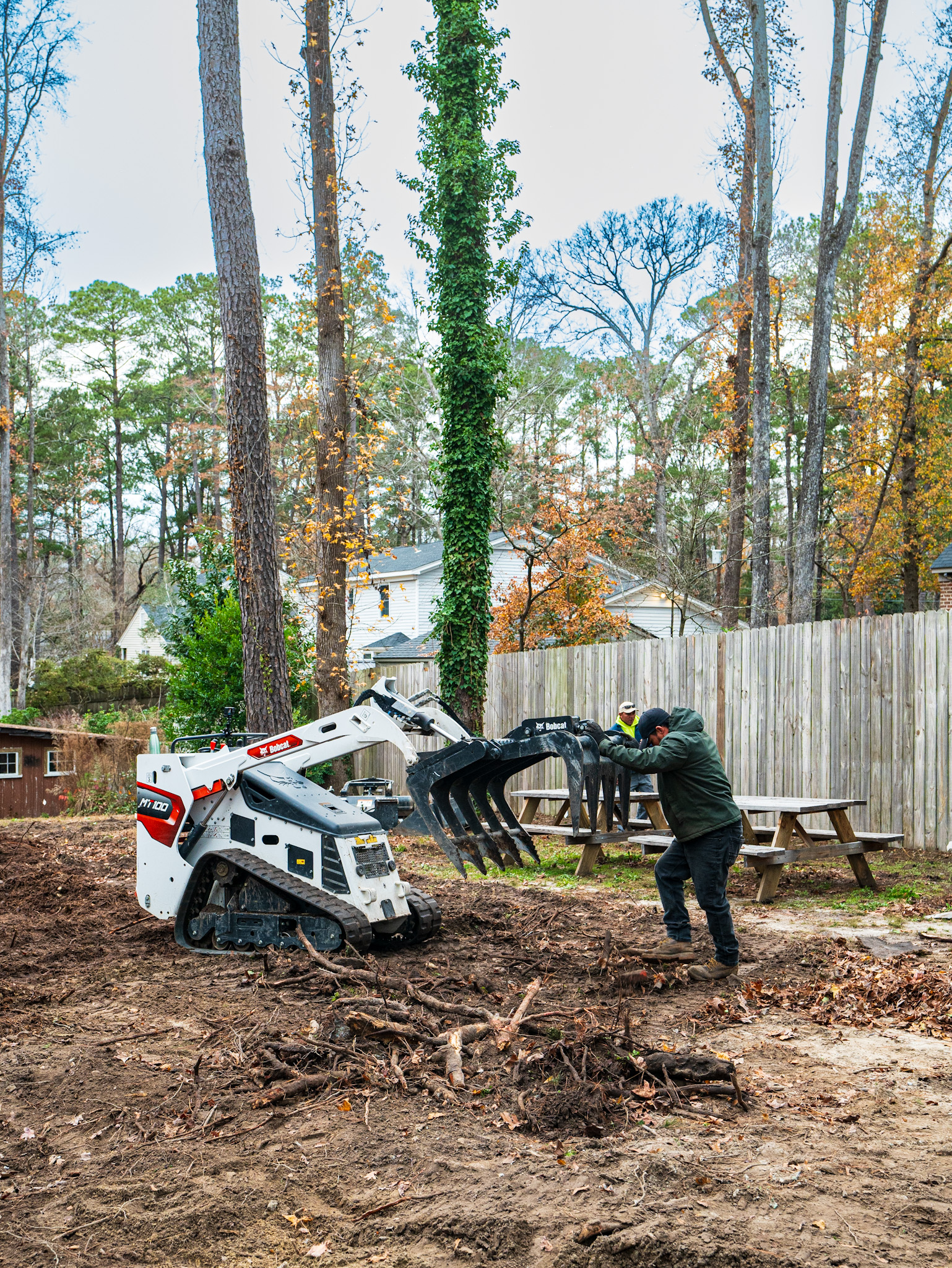 Mature canopy framing the property.