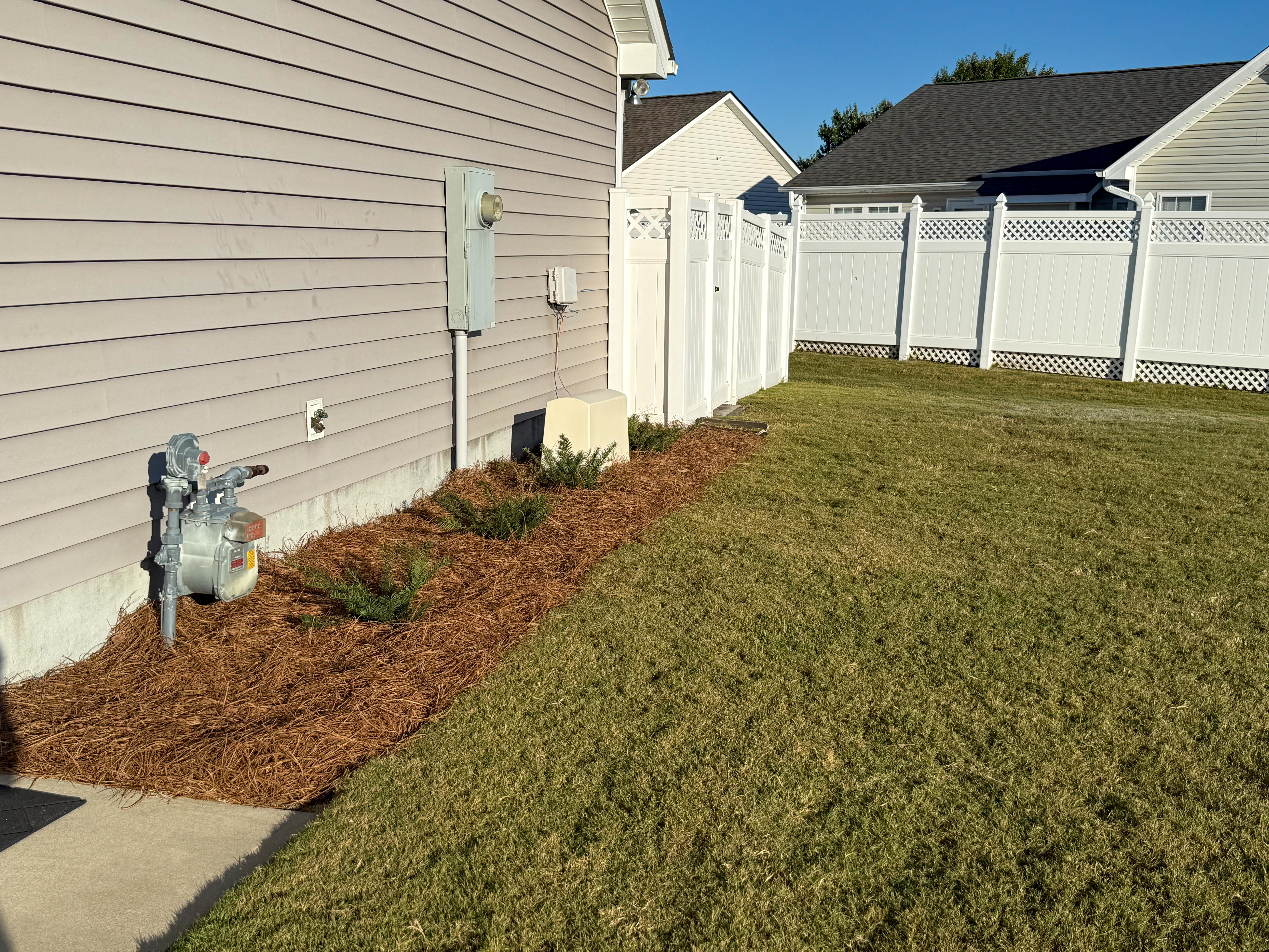 Side foundation bed with pine straw.