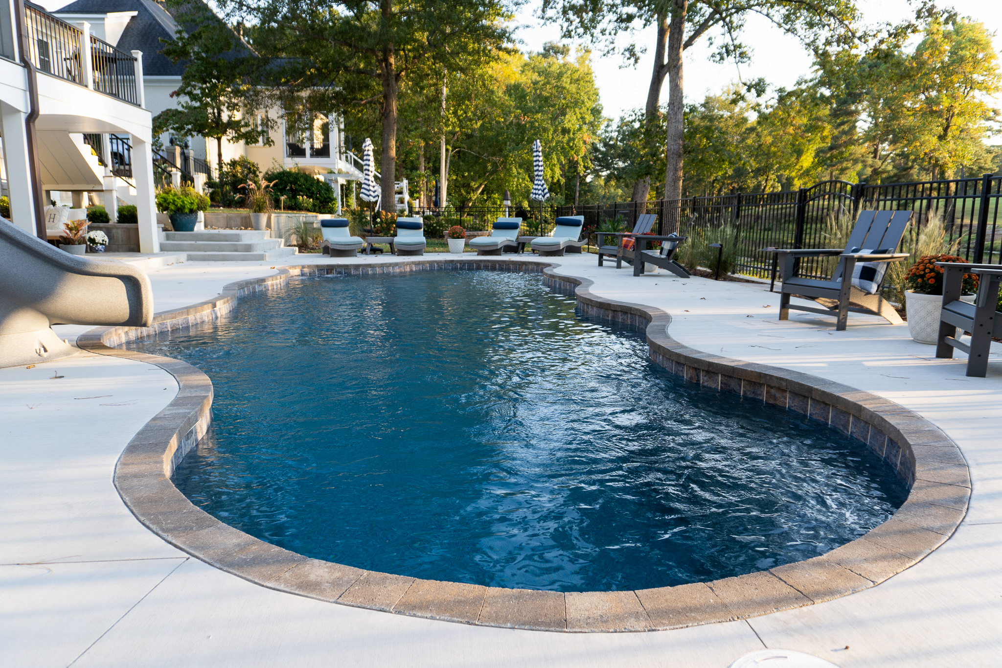 Freeform pool with paver coping detail.
