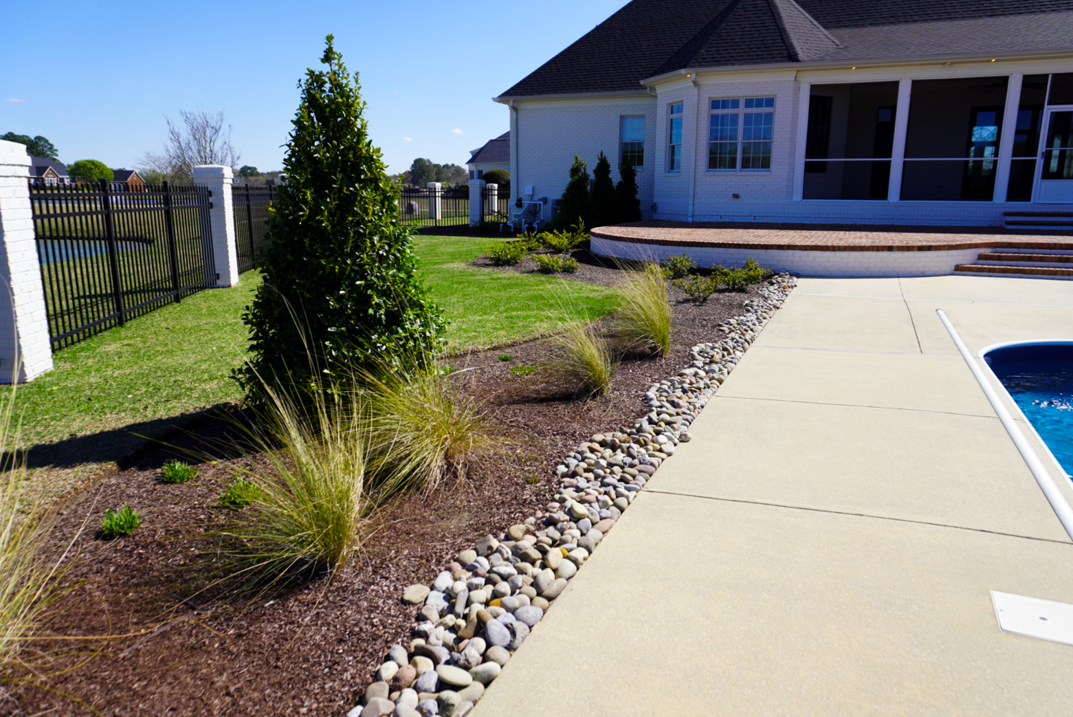 Poolside arborvitae screen with river-rock edge.